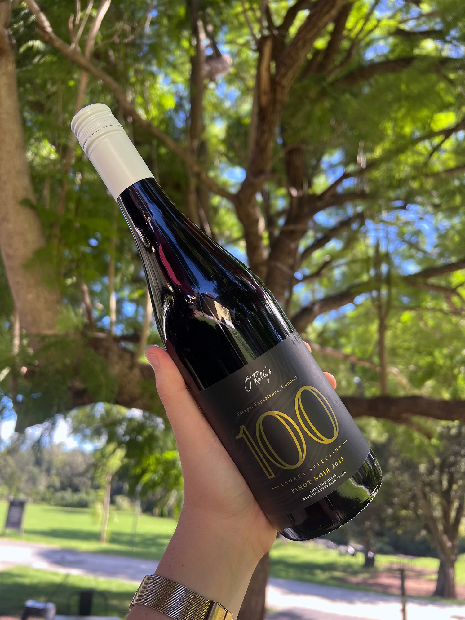 100-Year-Celebration-Pinot-Noir-2